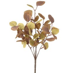 An autumnal spray of eucalyptus leaves. A stylish interior accessory for the home.