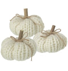 A set of 3 chic knitted wool pumpkins with wooden stalks and jute bows. 