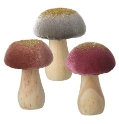 Velvet topped mushrooms are a stunning combination of purples and greys with a glistening gold glitter top