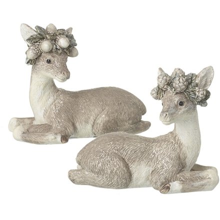 Laying Fawn With Crown, 2a