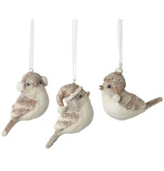 A mix of 3 beautifully detailed hanging bird decorations, each with a seasonal hat and glitter finish. 