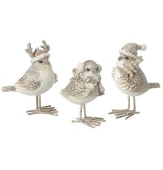 A mix of 3 beautifully intricate bird ornaments with winter hats and decorations. Complete with glitter.