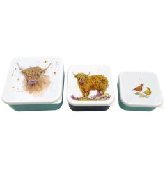 Set of three lunch boxes with Jan Pashley's Highland Cow artwork.
