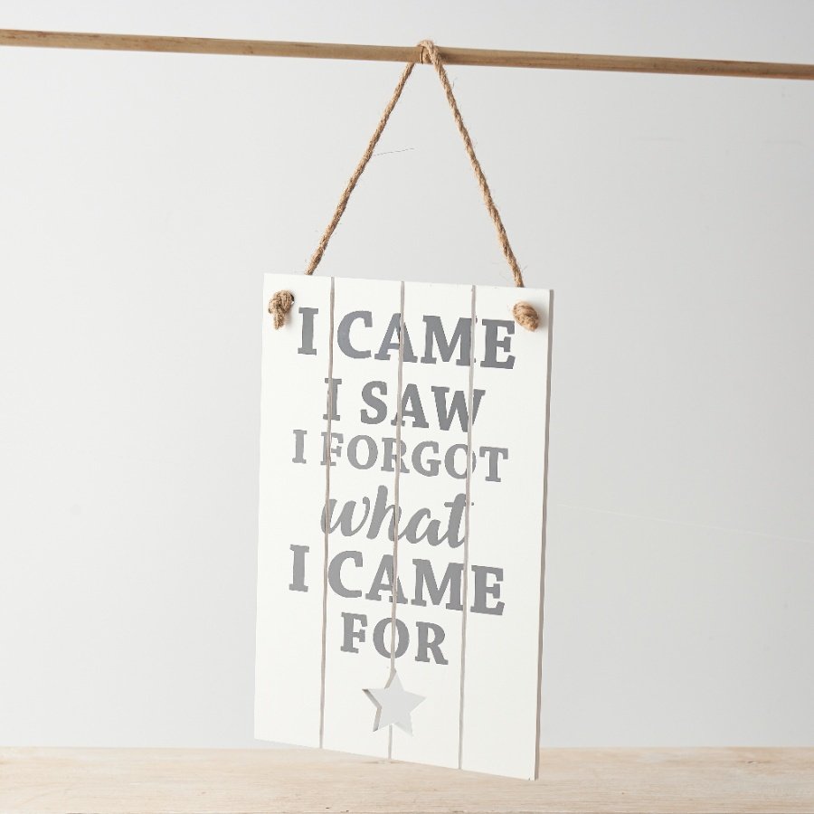 A slatted design wooden sign with rope hanger, "I came, I saw, I forgot what I came for" text and star cut out detail. 