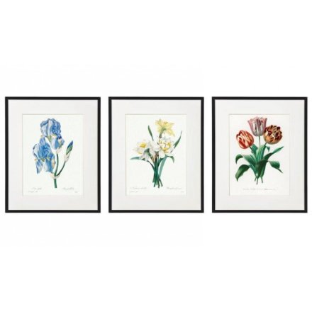 Vintage Flower Prints, 3a