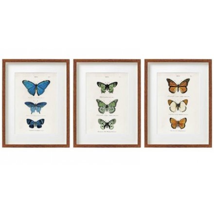 Framed Butterfly Wall Art, 3a