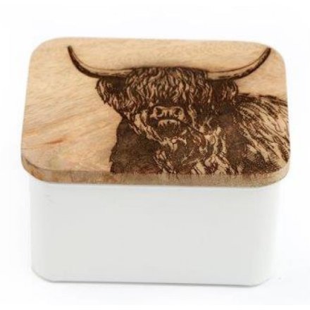 Highland Cow Tin, 14cm