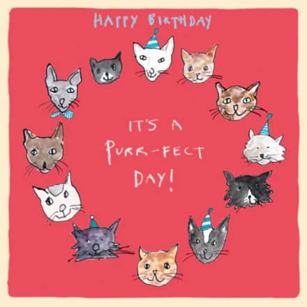 Purr-fect Day Greeting Card, 15cm
