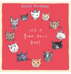 Happy Birthday! It's a Purr-fect Day. A colourful and quirky hand drawn cat themed birthday card.