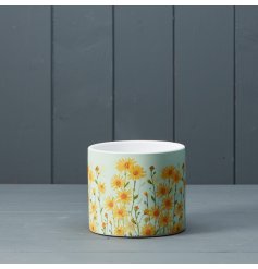 A beautiful yellow daisy field planter. A colourful seasonal gift item for the home.