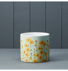 A colourful daisy field planter. A bright and beautiful gift item for the home.