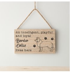 "An intelligent, playful & loyal" Border Collie lives here" wooden sign with rope hanger and paw print details. 