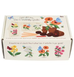 Complete flower growing kit attracting butterflies and bees.
