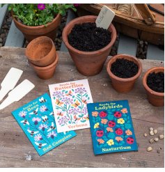 An assortment of flower seeds which are perfect for bees, butterflies and ladybirds. 