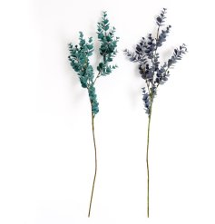 A delightful assortment of 2 Eucalyptus sprays. Each with subtle and grey tones.
