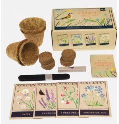 A beautiful seed set, perfect for a beginner wanting to grow some flowers.