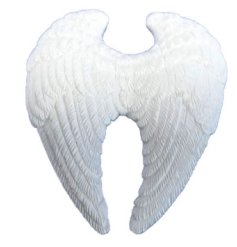 A chic angel wings design magnet with a richly textured and detailed surface. 