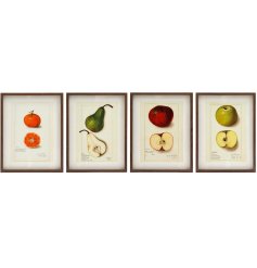 An assortment of 4 fruit detailed wall art images displayed in a wooden frame. 