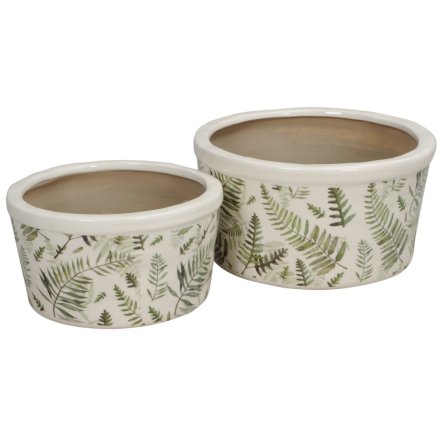 S/2 Planters with Fern Detail, 19cm