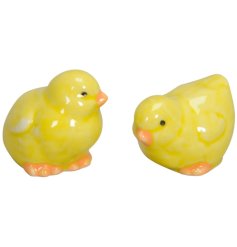 A cute yellow chick ornament with a orange painted beak, in 2 assorted designs. 