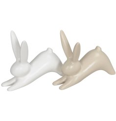 An assortment of two chic rabbits in cream and white, in a downward position.