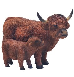 A sweet duo of a highland cow and its calf, stood together. 