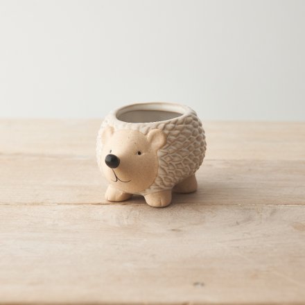 An adorable hedgehog planter in natural stone colours. 
