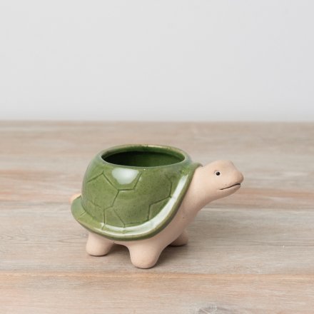 A cute and unique tortoise shaped planter with a green shell. 