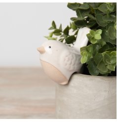 Elevate your potted plants with this charming stoneware bird accessory. 