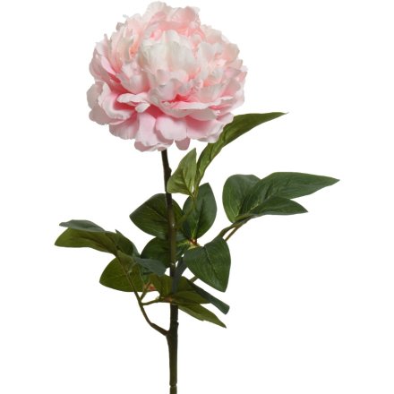 Pink Peony Flower, 72cm