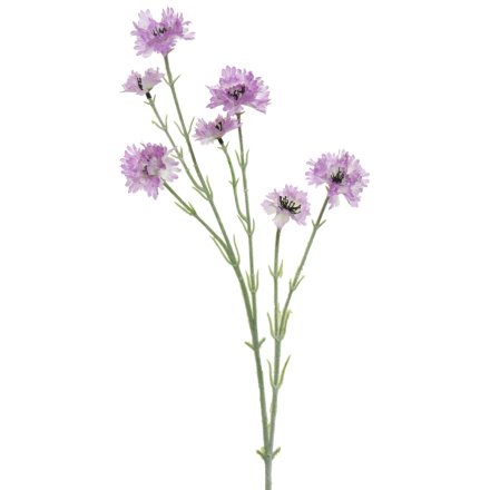 Lilac Cornflower on Stem, 68cm
