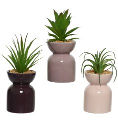 These artificial plants come in an abstract planter in an assortment of 3 pink hues