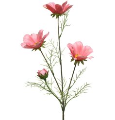 A beautiful cluster of Coreopsis on a vibrant green stem.