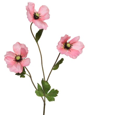 Pink Poppy on Stem, 71cm