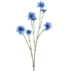 A radiant blue Cornflower on a thin stem. 