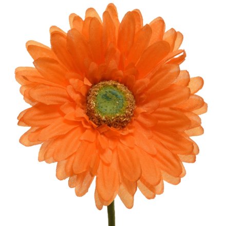 Gerbera in Orange, 50cm