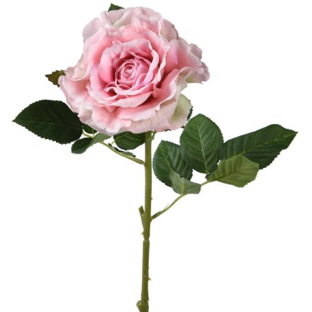 Rose in Pink, 71cm