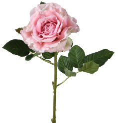 A delicate rose in baby pink hues with a green leafy stem.