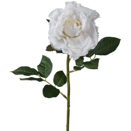 Rose in White, 71cm