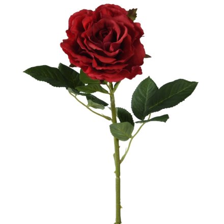 Rose on Stem, 71cm