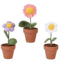3 assorted knitted flowers in a plant pot.  A cute windowsill ornament. 