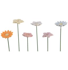 An outdoor flower on a green stake in 6 assorted colours. 