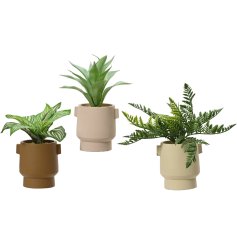Artificial green plants in abstract planters are the perfect way to bring a touch of elegance and nature to the home