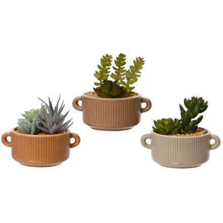 artificial succulents in neutral coloured pots is the perfect way to add a touch of botanical to any space.