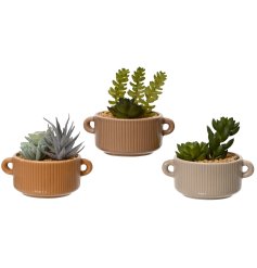 3 artificial succulents in neutral pots is the perfect way to add a touch of greenery to any space.