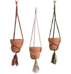 Beautiful terracotta planters with tassel rope hanger add a touch of boho charm to any space.