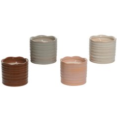 Keep the bugs away with this citronella candle in 4 assorted designs.