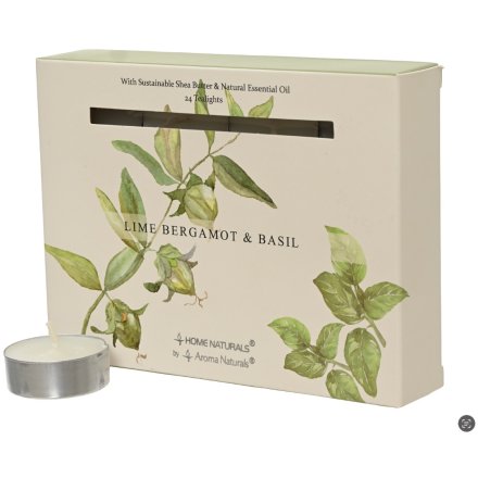 12 Lime Bergamot & Basil Tea-Lights