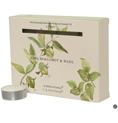 Calming Lime and Basil t-light set