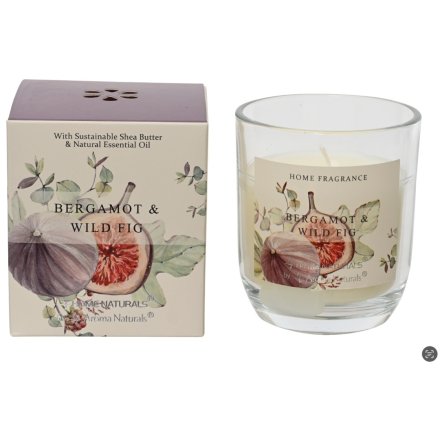 Bergamot & Wild Fig Soy Wax Candle 9cm